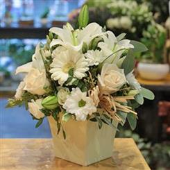 Exquisite Arrangement 