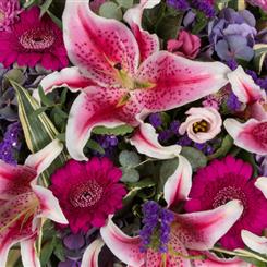 Florist Choice Traditional Gift Box