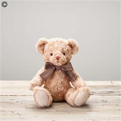 Chandler Bear