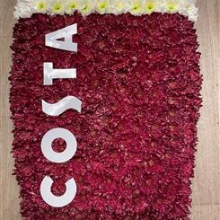 Costa coffee cup