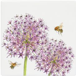 Bee-tanical Allium Ceramic Coaster