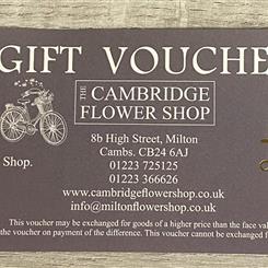 Gift Voucher 20
