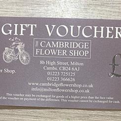 Gift Voucher 15
