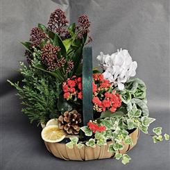Christmas Planted Basket