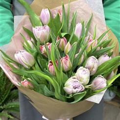Simply Tulips