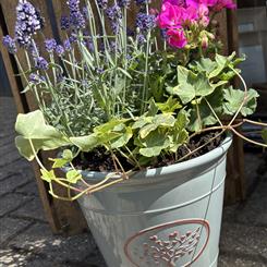 Small Garden Planter