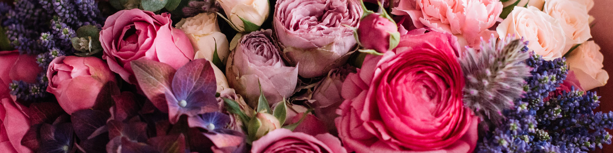 The Cambridge Flower Shop